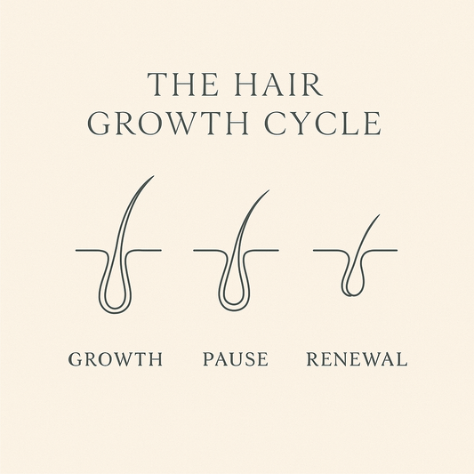 Do You Understand your Hair's Growth Cycle?